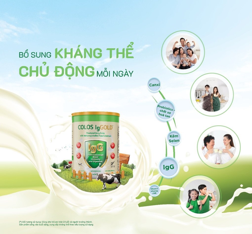 Đàn bò khỏe mạnh trên đồng cỏ New Zealand, nguồn gốc của sữa non New Zealand.