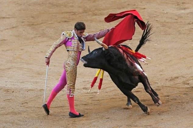 Đấu bò tót bị cấm ở Catalonia, một hành động khẳng định bản sắc riêng