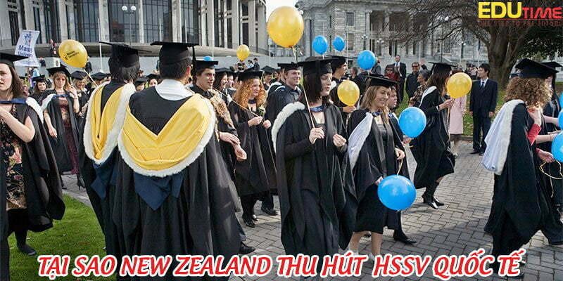 Nhóm sinh viên quốc tế đa dạng đang tương tác và học tập tại New Zealand, cho thấy môi trường thân thiện và cơ hội phát triển