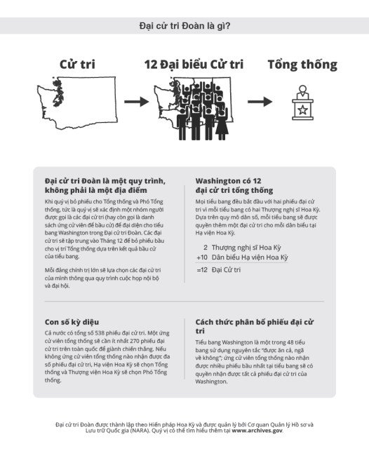 Sơ đồ giải thích cơ chế Đại Cử Tri Đoàn ảnh hưởng đến bầu cử tổng thống Hoa Kỳ 2024 kết quả.