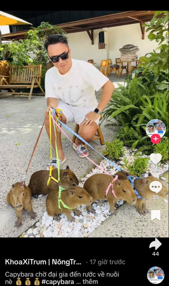 Cô gái trẻ đang chơi đùa cùng Capybara