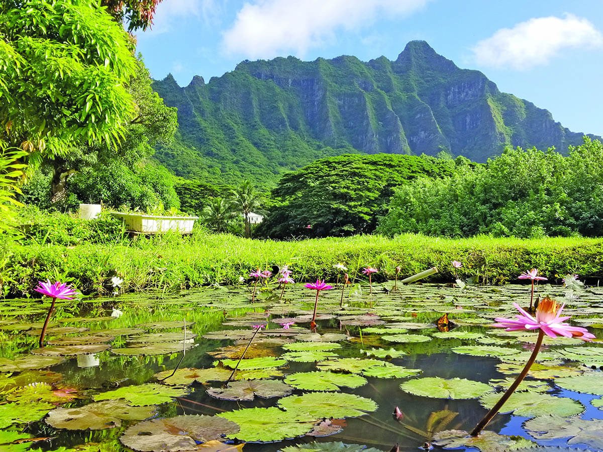 Cảnh quan thiên nhiên đa dạng tại Hawaii