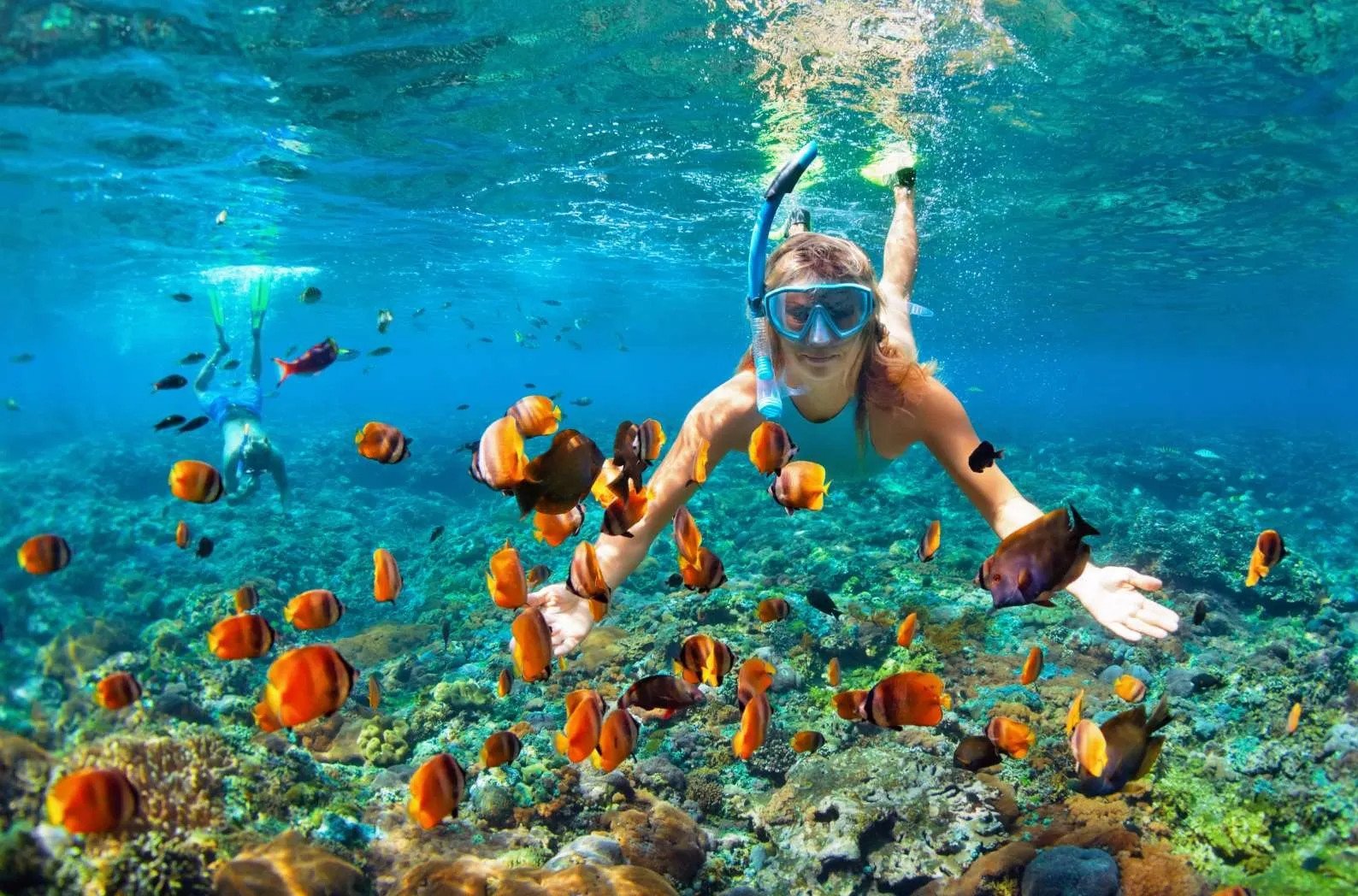 Hoạt động lặn biển tại Hawaii