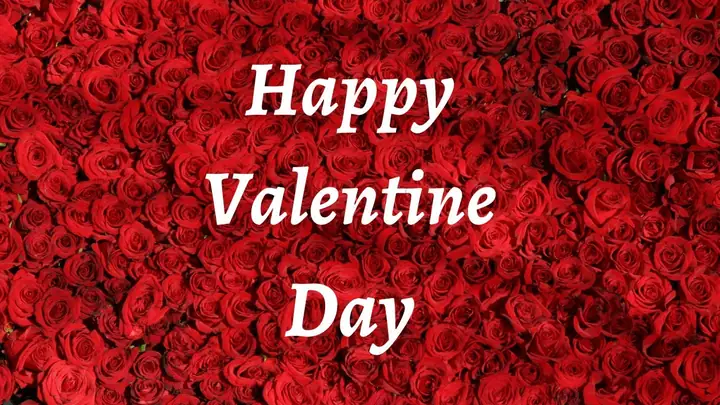 20+ Món Quà Valentine 14-2 Ý Nghĩa Dành Cho Nửa Kia Dịp Lễ ...