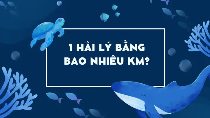 Hải Lý Bằng Bao Nhiêu Km? Quy Đổi Hải Lý Sang Đơn Vị Khác