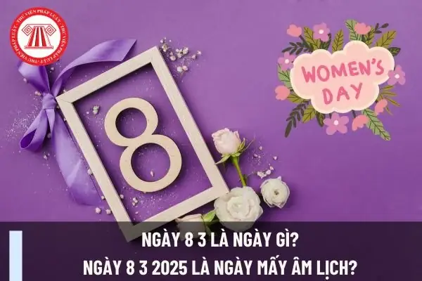 Ngày Quốc Tế Phụ Nữ 8/3: Nghỉ Hay Làm Việc? Quyền Lợi Lao Động Nữ Được Quy Định Thế Nào?