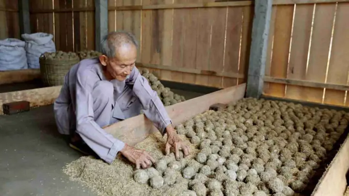 Lã Ng Nghá» Phãº Lá» , Sæ¡n Äá»c, Má»¹ Lá»ng