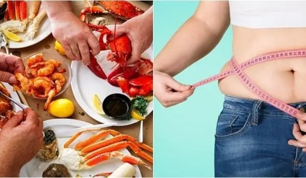 Cùng Đảo Hải Sản Tìm Câu Trả Lời Cho Câu Hỏi Ăn Hải Sản Có Mập Không?