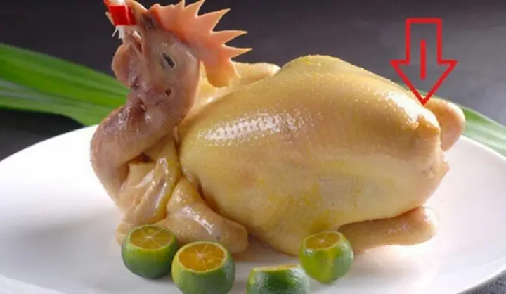 Ảnh Chế Hài Hước Gà Đeo Kính Ảnh Chế Hài Hước Gà Đeo Kính