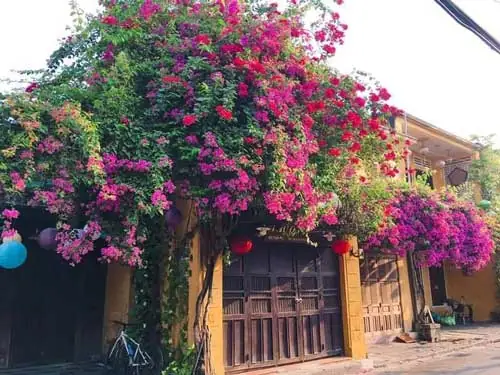 Ảnh Đẹp Hội An Về Đêm