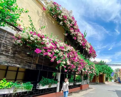 Ảnh Đẹp Hội An Về Đêm