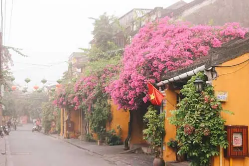 Ảnh Đẹp Hội An Về Đêm