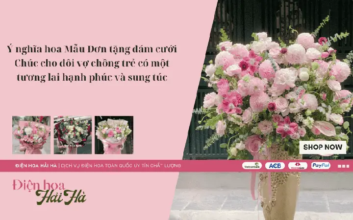 Hoa Mẫu Đơn – Tương Lai Hạnh Phúc Và Sung Túc Hoa Mẫu Đơn – Tương Lai Hạnh Phúc Và Sung Túc