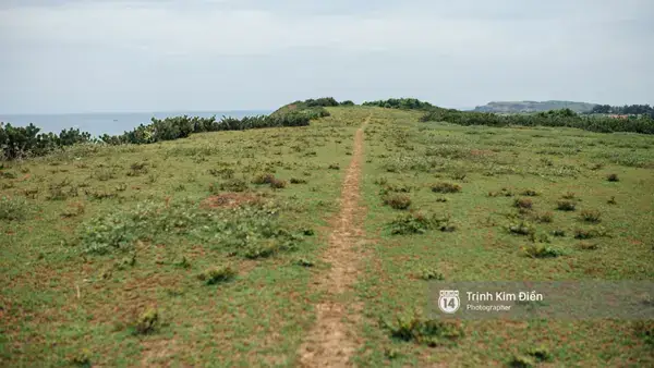 Chumanhxusohoavang_02