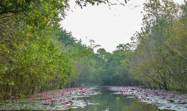 Around 60 Kilometers Southwest Of Ha Noi