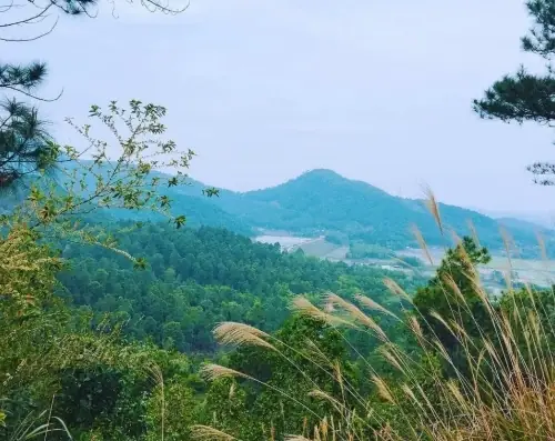 Sóc Sơn Ở Đâu, Cách Hà Nội Bao Xa & Những Điều Cần Biết