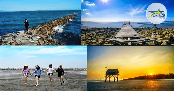 Thăm Thú Bãi Biển 30/4 Cần Giờ Thăm Thú Bãi Biển 30/4 Cần Giờ