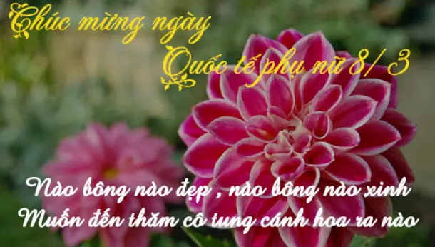 Bài Hát Ngày Mùng 8 Tháng 3
