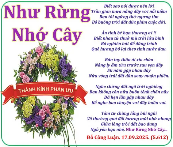 Bài Thơ Mưa Ơi Từ Đâu Đến: Hành Trình Cảm Xúc Qua Những Vần Thơ Bài Thơ Mưa Ơi Từ Đâu Đến: Hành Trình Cảm Xúc Qua Những Vần Thơ