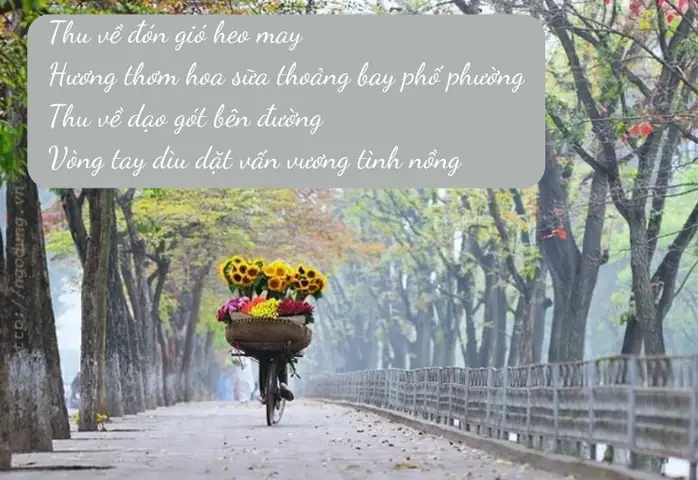Chùm Thơ Về Mùa Thu Hà Nội Nhẹ Nhàng