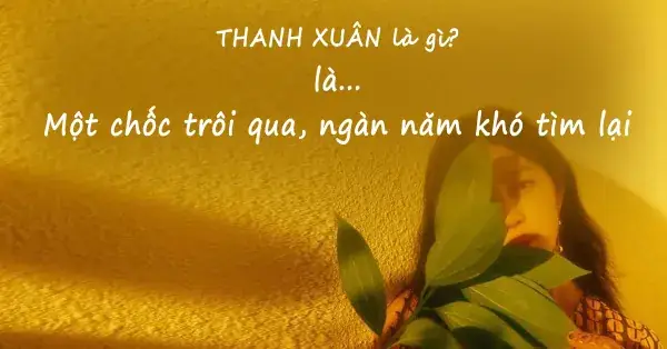 70 Câu Nói Hay Về Tuổi Thanh Xuân Học Trò Ngắn Gọn Hài Hước 70 Câu Nói Hay Về Tuổi Thanh Xuân Học Trò Ngắn Gọn Hài Hước