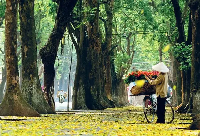 Nghe Đọc Tập Làm Văn Lớp 2: Tả Mùa Thu