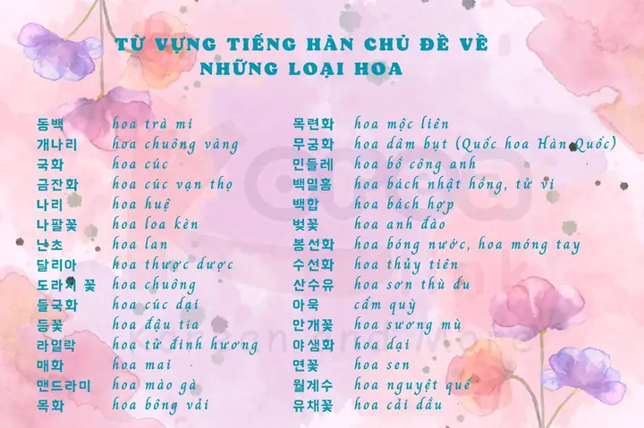 Bài Viết Tiếng Hàn Theo Chủ De