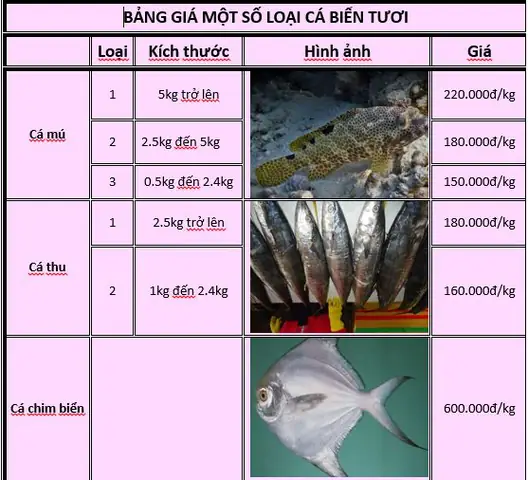 Bán Cá Biển Tươi Tại Hà Nội: Cẩm Nang Toàn Diện Từ Chọn Mua Đến Chế Biến Bán Cá Biển Tươi Tại Hà Nội: Cẩm Nang Toàn Diện Từ Chọn Mua Đến Chế Biến