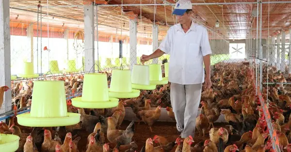 Cần Xây Dựng Bản Đồ Dịch Tễ Tại Địa Phương