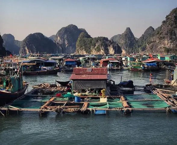 Làng Chài Cổ Cái Bèo Làng Chài Cổ Cái Bèo