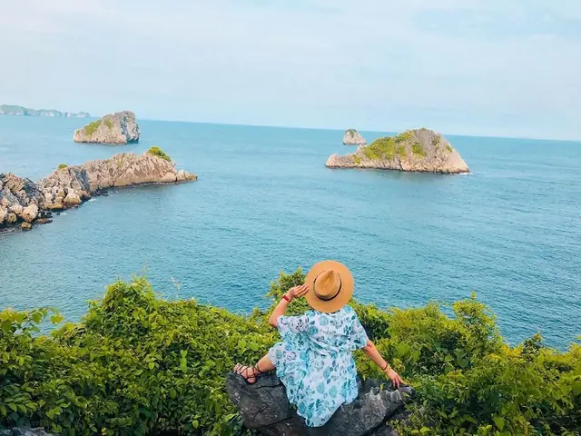 Đảo Khỉ Đảo Khỉ