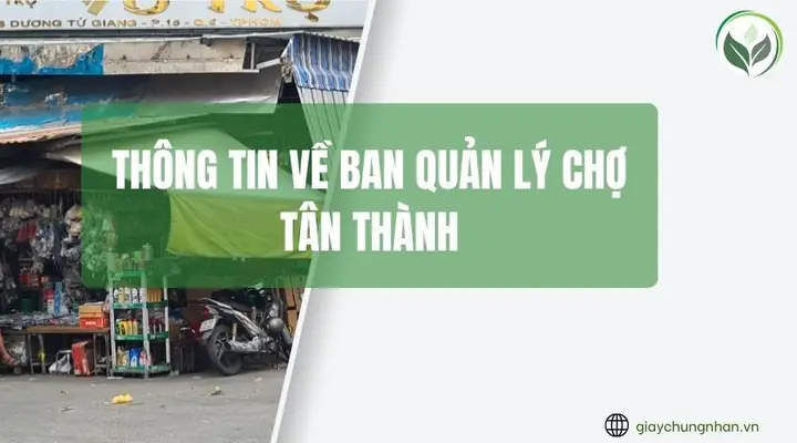 Thông Tin Về Ban Quản Lý Chợ Tân Thành Thông Tin Về Ban Quản Lý Chợ Tân Thành
