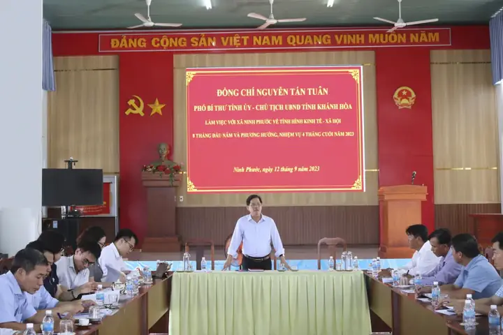 Chủ Trương Di Dời Thôn Ninh Tịnh: Tầm Quan Trọng Và Lý Do