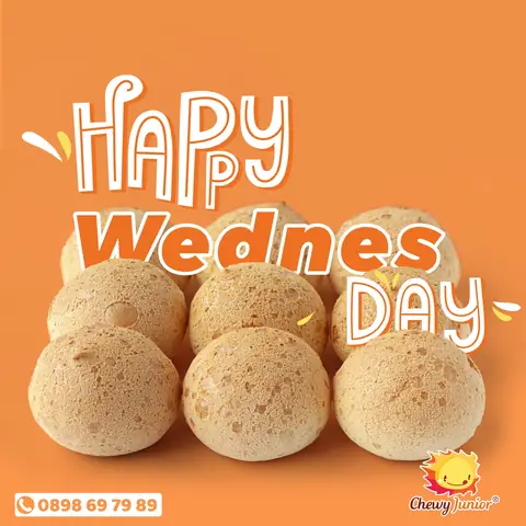 Happy Wednesday‼️ – Chewyjunior