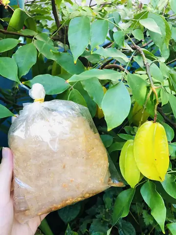 Bánh Tráng Xike Siêu Cay