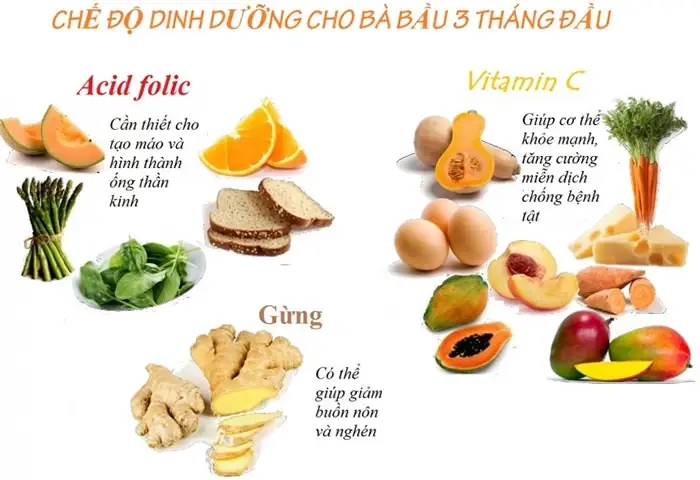 Bà Bầu 3 Tháng Đầu Nên Ăn Uống Gì Để Con Khỏe, Mẹ An Toàn?