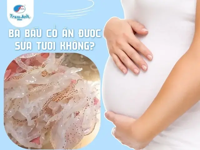 Bà Bầu Có Ăn Được Sứa Tươi Không?