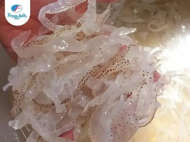 Lợi Ích Khi Bà Bầu Ăn Sứa Tươi