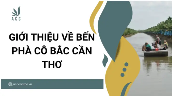 Giới Thiệu Về Bến Phà Cô Bắc Cần Thơ