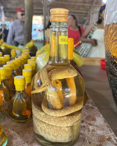 Snake Wine