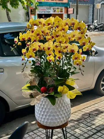 Bó Hoa Tặng Cô Ngày 20 11 Bó Hoa Tặng Cô Ngày 20 11