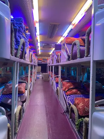 Chien The Bus