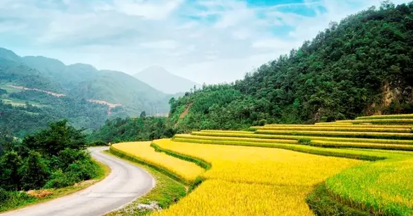 Sapa Express | The Official Website To Book Sapa Bus Sapa Express | The Official Website To Book Sapa Bus