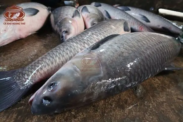 Nguyên Liệu Để Làm Món Cá Kho Niêu