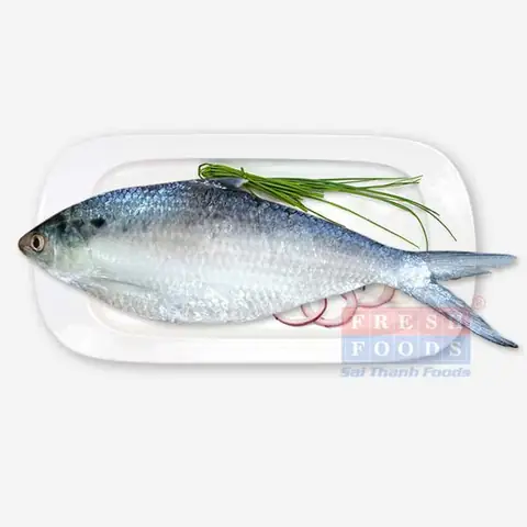 Cá Mòi (kg) Hải Sản Giá Sỉ - Saithanhfoods