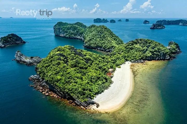 Vịnh Hạ Long (quảng Ninh)