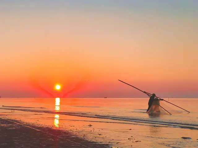 Thời Điểm Nên Đi Trà Cổ Thời Điểm Nên Đi Trà Cổ