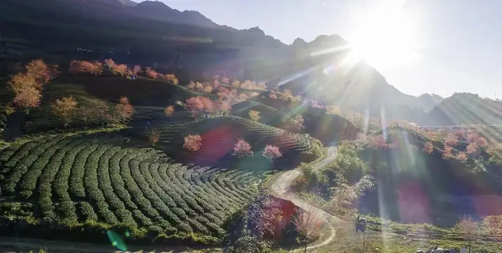 Du Lịch Sapa Đầu Năm, Trải Nghiệm Đón Tết Miền Cao