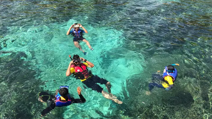 Lặn Ngắm San Hô Nha Trang Lặn Ngắm San Hô Nha Trang