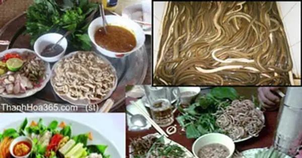 Món Gỏi Cá Ngon Nhất Trong Ẩm Thực Việt Món Gỏi Cá Ngon Nhất Trong Ẩm Thực Việt